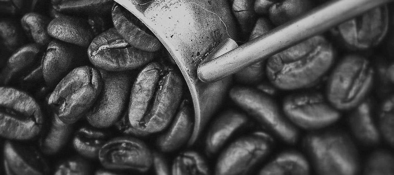 Headerbild mein Produkt